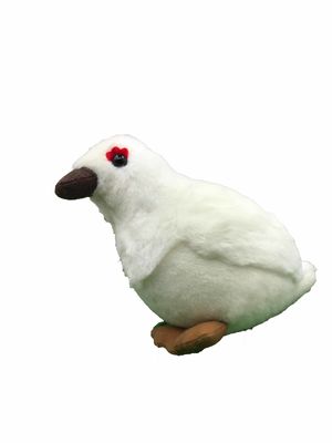 محاكاة حمامة بيضاء ليتل بيرد محشوة الحيوان القطيفة